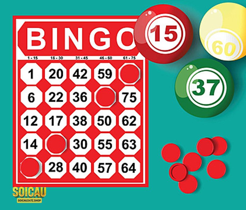 Kqxsmn - Đọc giải đặc biệt, giải phụ và loto cuối Kqxsmn - Đọc giải đặc biệt, giải phụ và loto cuối
