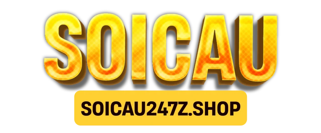 soicau247z